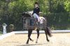 Dateiname=20160505_Pferd_International_Muenchen_Olympia_Reitanlage_-_454_.JPG
Dateigröße=305KB
Abmessungen: 800x533
hinzugefügt am: 05. Mai 2016 20160505_Pferd_International_Muenchen_Olympia_Reitanlage_-_454_.JPG