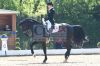 20160505_Pferd_International_Muenchen_Olympia_Reitanlage_-_467_.JPG