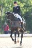 20160505_Pferd_International_Muenchen_Olympia_Reitanlage_-_499_.JPG