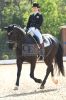 Dateiname=20160505_Pferd_International_Muenchen_Olympia_Reitanlage_-_560_.JPG
Dateigröße=289KB
Abmessungen: 533x800
hinzugefügt am: 05. Mai 2016 20160505_Pferd_International_Muenchen_Olympia_Reitanlage_-_560_.JPG