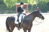 20160505_Pferd_International_Muenchen_Olympia_Reitanlage_-_571_.JPG