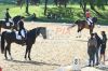 20160505_Pferd_International_Muenchen_Olympia_Reitanlage_-_577_.JPG