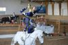 20160505_Pferd_International_Muenchen_Olympia_Reitanlage_-_5_.JPG