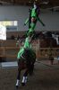 Dateiname=20160505_Pferd_International_Muenchen_Olympia_Reitanlage_-_70_.JPG
Dateigröße=237KB
Abmessungen: 533x800
hinzugefügt am: 05. Mai 2016 20160505_Pferd_International_Muenchen_Olympia_Reitanlage_-_70_.JPG