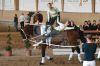 20160505_Pferd_International_Muenchen_Olympia_Reitanlage_-_85_.JPG